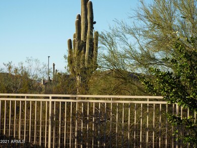 backyard 2