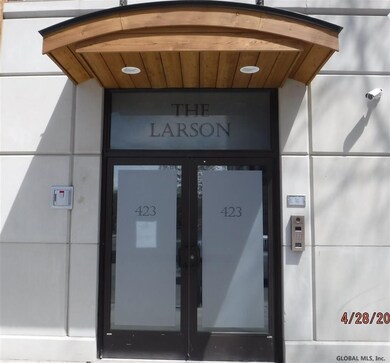 423 Madison Ave, Albany, NY 12210 - photo 6