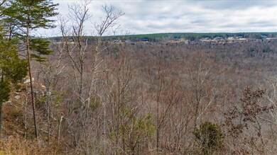 03-DJI_20250107115037_0160_D-HDR