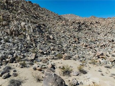 0 Jackass Trail unit JT25262958, 29 Palms, CA 92252 - photo 4