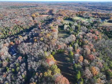 0 Scanlon Dr, de Soto, MO 63020 - photo 7