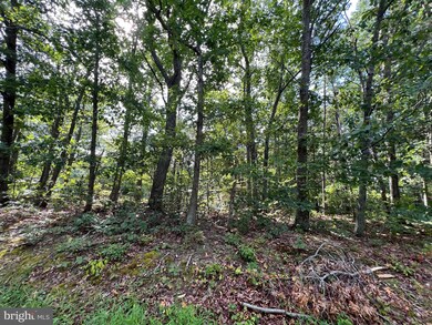 0 Fords Shop Rd, Culpeper, VA 22701 - photo 6