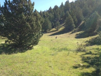 0 Lot 709 Patterson Dr unit 220104621, Canyon City, OR 97820 - photo 2