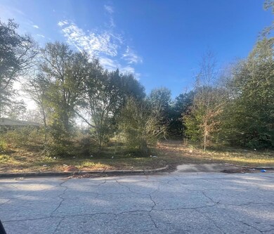 702 Cherry Ave, Albany, GA 31701 - photo 4