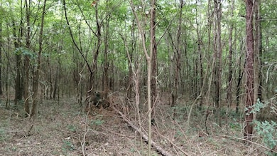 Tract 13 Mount Pleasant Rd, Dalton, GA 30721 - photo 2