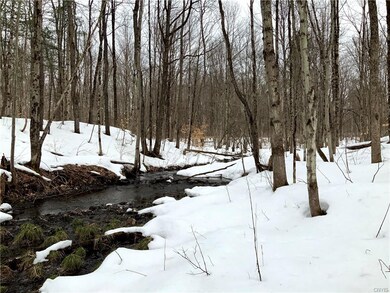 0 State Route 13 unit S1313433, Albion, NY 13302 - photo 7