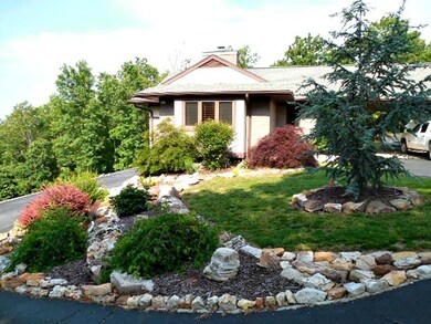 View 1