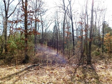 Lot 4 Furnace Rd, Lincolnton, NC 28092 - photo 4