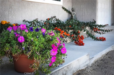 71937 Samarkand Dr, Twentynine Palms, CA 92277 - photo 4