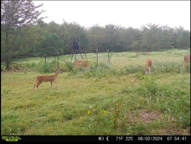 113 AC Fm 3218, Commerce, TX 75428 - photo 4