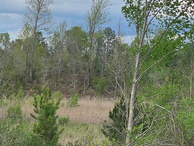 12 Crest Line Dr, Upatoi, GA 31829 - photo 5