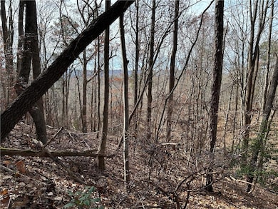 0 Georgia 105, Baldwin, GA 30511 - photo 2