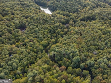 0 Panorama Dr unit 10622844, Sautee Nacoochee, GA 30571 - photo 6