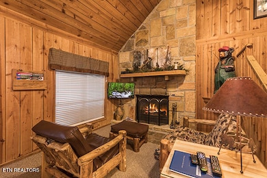 3334 Bear Mountain Ln, Sevierville, TN 37876 - photo 6