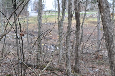 Lot 35 1 Pl Coyler Rd, Somerset, KY 42503 - photo 6