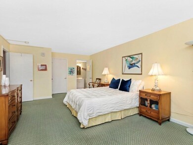 Imperial Towers unit 311, Chestnut Hill, MA 02467 - photo 6