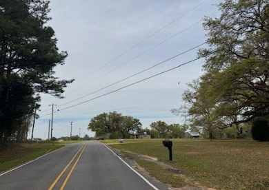 1214 Marshall Smith Rd, Lucedale, MS 39452 - photo 3