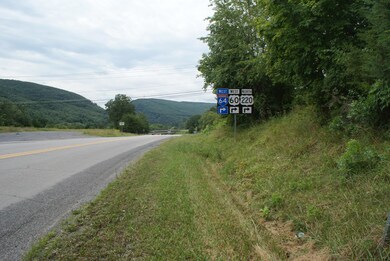 000 Douthat Rd, Clifton Forge, VA 24422 - photo 4