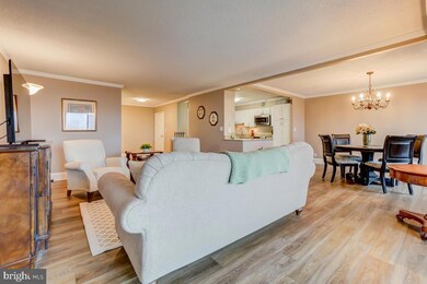 5901 Mount Eagle Dr unit 918, Alexandria, VA 22303 - photo 5