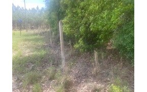 0 SW Briar Patch Terra unit 107511, Fort White, FL 32038 - photo 2