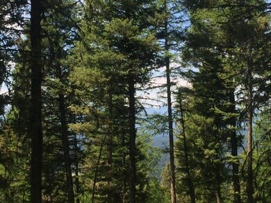 723 Wolverine Dr, Seeley Lake, MT 59868 - photo 6