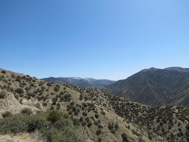 0 96th St E unit 25002488, Littlerock, CA 93543 - photo 4