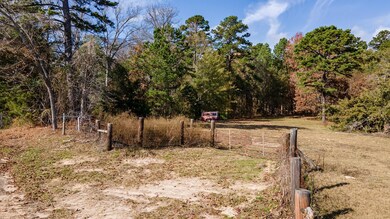 TBD County Road 291, Tyler, TX 75707 - photo 5