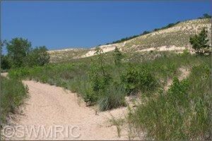 16000 Lakeshore Rd unit 25, Union Pier, MI 49129 - photo 3