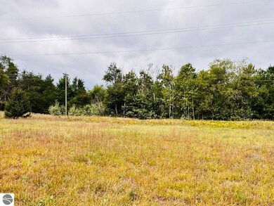 9246 NE Chippewa Dr unit 11, Mancelona, MI 49659 - photo 3