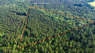 Sparks Lane SC Land for Sale-6