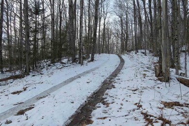 0 Bailey Hill Rd, Readsboro, VT 05350 - photo 6
