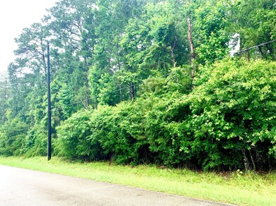 0000 Becky Ln, Magnolia, TX 77354 - photo 6