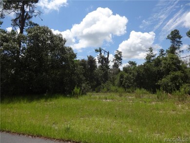 0 SW 175th Loop unit 775011, Ocala, FL 34473 - photo 6