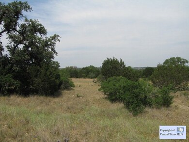 NICE CLUSTERS OF OAK TREES EVERYWHERE
