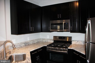 4408 Helmsford Ln unit 202, Fairfax, VA 22033 - photo 2