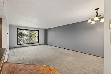 4710 58th Ave N unit 202, Minneapolis, MN 55429 - photo 3