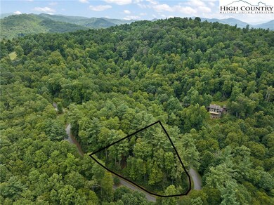 Lot L3 Woodlake Loop Rd, Elk Park, NC 28604 - photo 5