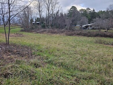 00 Belleview Rd, Franklin, NC 28734 - photo 7