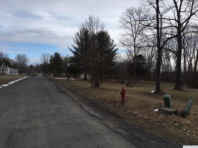 0 Murphy Dr, Athens, NY 12015 - photo 4