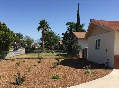 Drought resistant landscaping. Each plant is water
