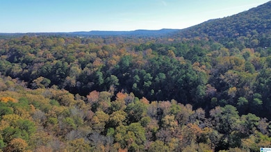 0 Mill Creek Rd unit 21437437, Warrior, AL 35180 - photo 7