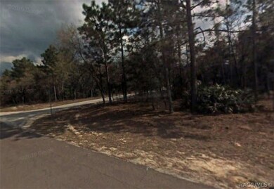 3198 W Marie Dr, Citrus Springs, FL 34433 - photo 3