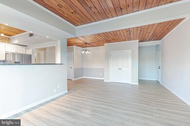 53 Skyhill Rd unit 303, Alexandria, VA 22314 - photo 4