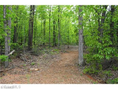 1.379ac Wilkesboro Hwy, Statesville, NC 28625 - photo 2