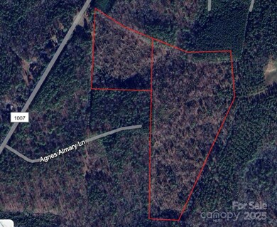 0 Agnes Almary Ln, Sanford, NC 27330 - photo 3