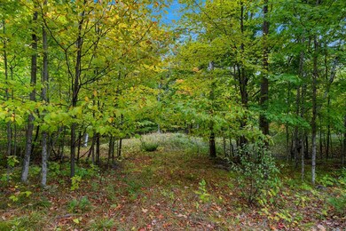 10228 Settlement Ln, Sister Bay, WI 54234 - photo 6