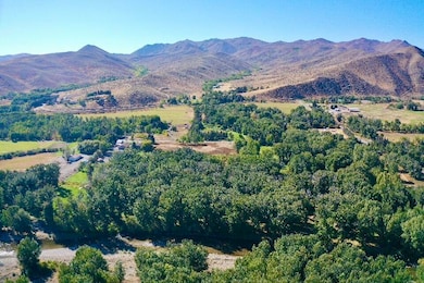 113 & 117 Lower Broadford Rd, Bellevue, ID 83313 - photo 6