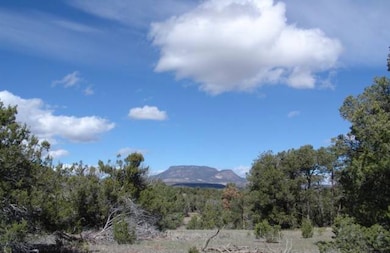 Lot 43 Morningstar Dr, Datil, NM 87821 - photo 6