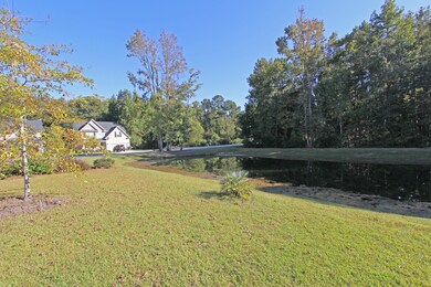 Pond view