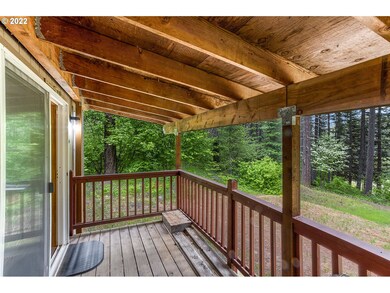 51 Carr Rd, Trout Lake, WA 98650 - photo 4